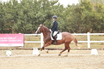 SBM_001146