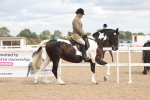 SBM_14746