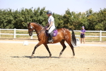 SBM_003730