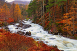 Autumn Flow, Torridon.    ref 1068