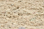 230701A-104007-04593