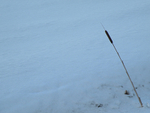 Winter portfolio