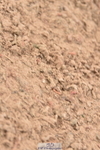 231011A-130800-00495
