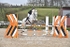 BPP_1492