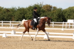 SBM_003877