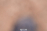 240505A-112300-05267
