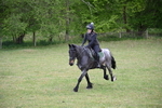 WJ6_1345