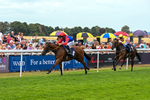 280726-Race 5-Norcross Brow-1255