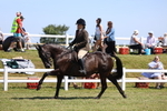 3E7A8100
