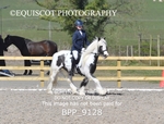 BPP_9128