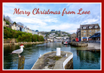 XM011 - Early morning view of The River Looe and a festive seagull