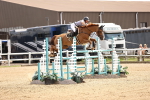 SBM_001971