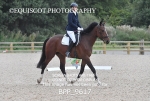 BPP_9617