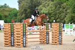 450-CEDARMOUNT_CAVALIER-Grace_Cooper portfolio