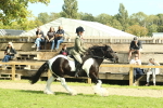 SBM_67582