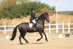 SBM_008556