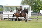 SBM_16245