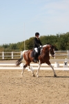 SBM_003876