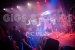Pigsx7-61