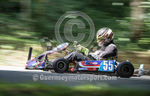GKMC_Hillclimb_05-08-2017_KART-2