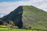 Ilam-421