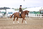 SBM_00140