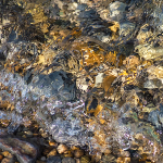 WASHING UP - GEORGIAN BAY
