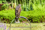 0628 IMG_6635