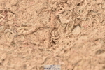 231011A-123012-00392