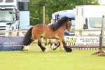 SBM_06361