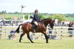 SBM_15894