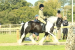 SBM_67421