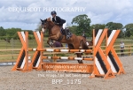 BPP_1175