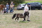 WJ6_5688