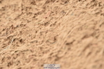 231122A-120554-00275