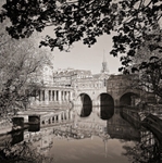 Springtime, Pulteney Bridge.  EDC270