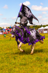 joust-1360