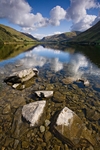 Tal Y Llyn Portrait