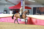 SBM_14890