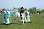 Ring 4 - Jumping portfolio