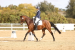 SBM_010334