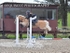 BPP_9587