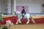 SBM_20118
