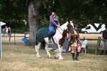 WJ6_4642