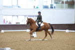 SBM_001951