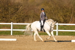 SBM_004593