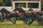 DSCF7208