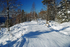 Fløyfjellet, Bergen