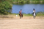 WJ6_8410