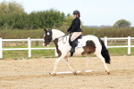 SBM_001368